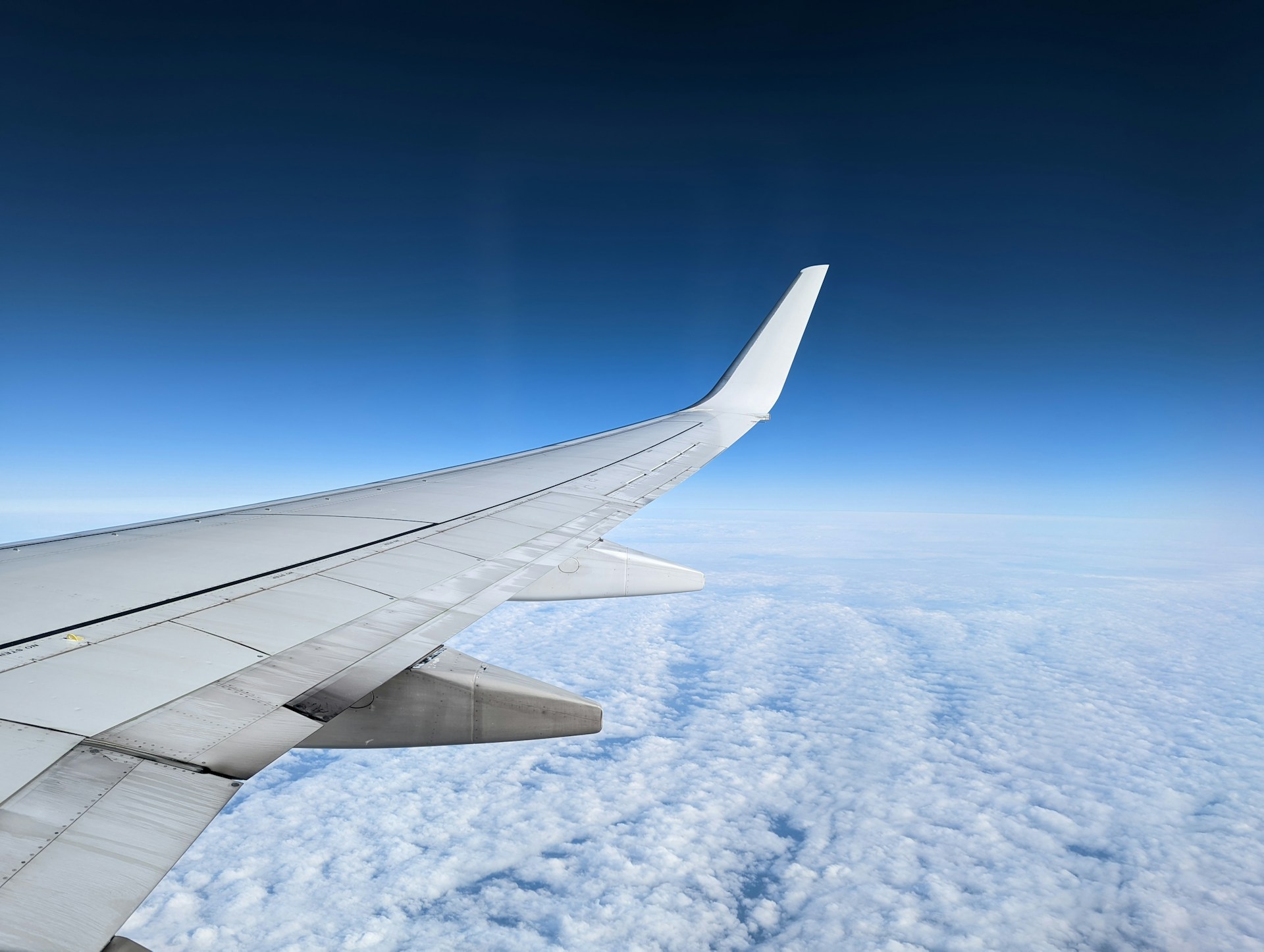 туристический бизнес